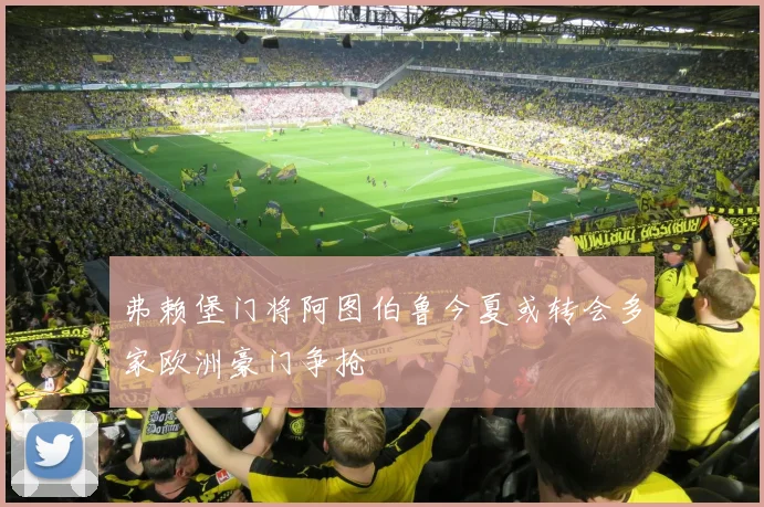 弗赖堡门将阿图伯鲁今夏或转会多家欧洲豪门争抢