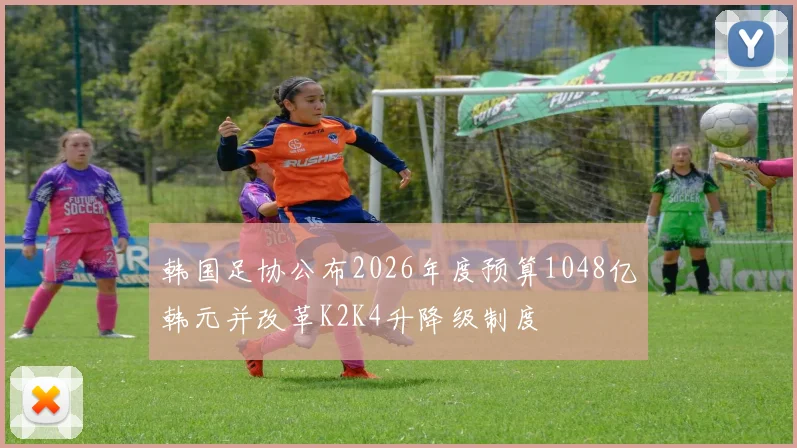 韩国足协公布2026年度预算1048亿韩元并改革K2K4升降级制度
